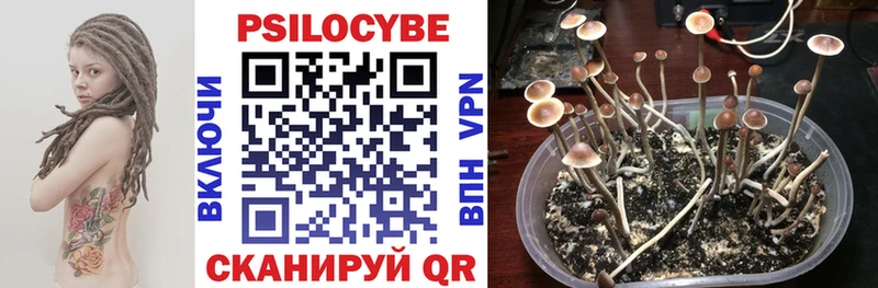 Галлюциногенные грибы мицелий  Братск 